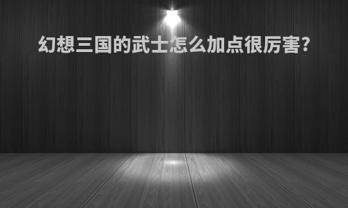 幻想三国的武士怎么加点很厉害?