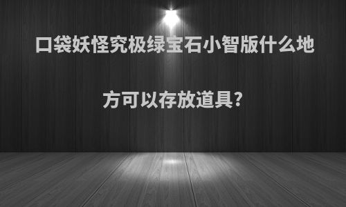 口袋妖怪究极绿宝石小智版什么地方可以存放道具?