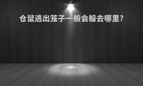仓鼠逃出笼子一般会躲去哪里?