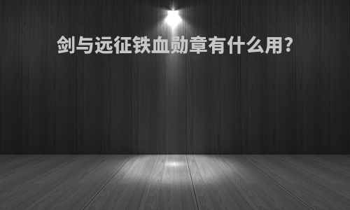 剑与远征铁血勋章有什么用?