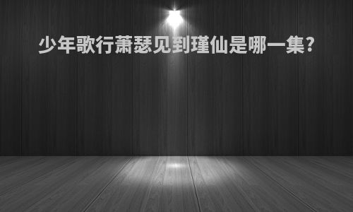 少年歌行萧瑟见到瑾仙是哪一集?