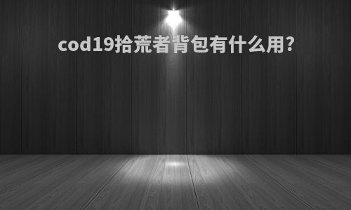 cod19拾荒者背包有什么用?