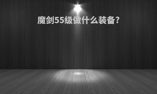 魔剑55级做什么装备?
