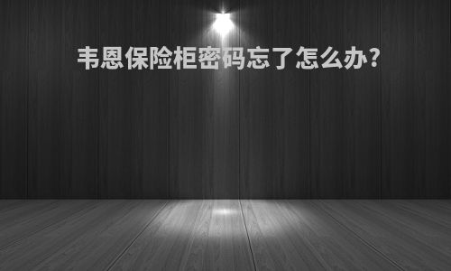 韦恩保险柜密码忘了怎么办?