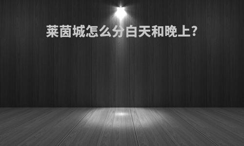 莱茵城怎么分白天和晚上?
