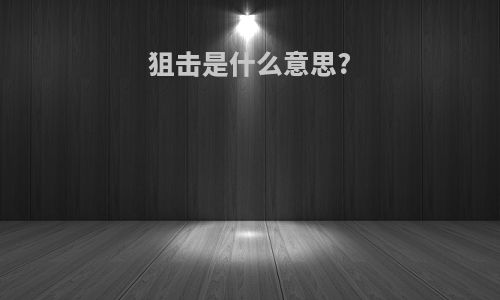 狙击是什么意思?