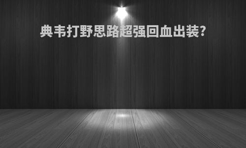典韦打野思路超强回血出装?