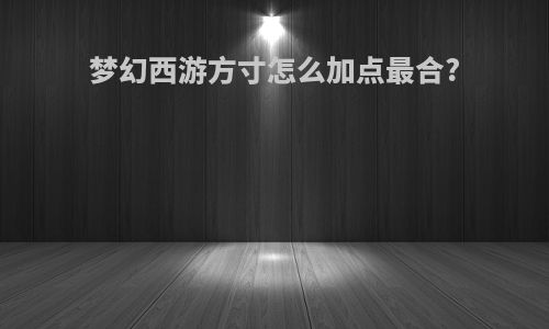 梦幻西游方寸怎么加点最合?
