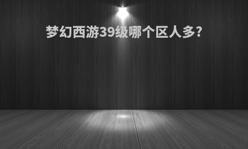 梦幻西游39级哪个区人多?
