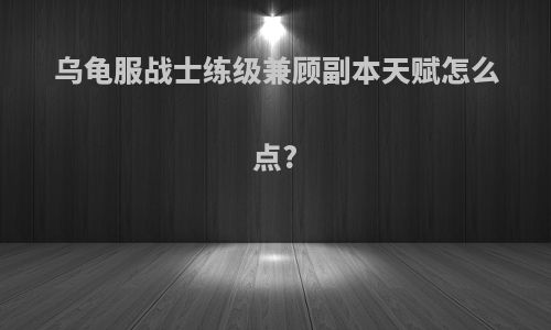 乌龟服战士练级兼顾副本天赋怎么点?