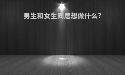 男生和女生同居想做什么?