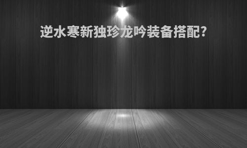 逆水寒新独珍龙吟装备搭配?