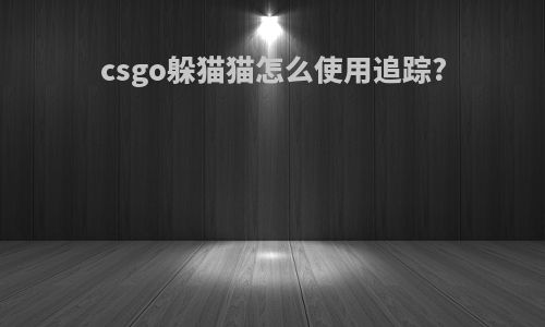 csgo躲猫猫怎么使用追踪?