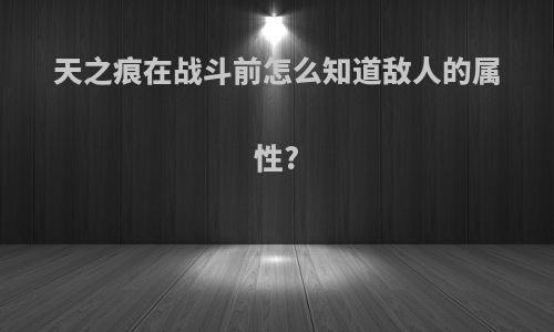 天之痕在战斗前怎么知道敌人的属性?
