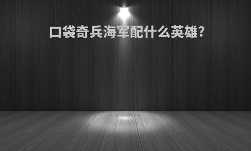 口袋奇兵海军配什么英雄?