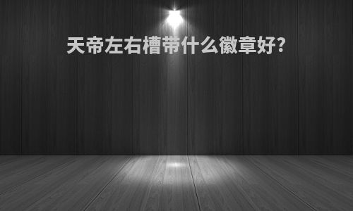 天帝左右槽带什么徽章好?