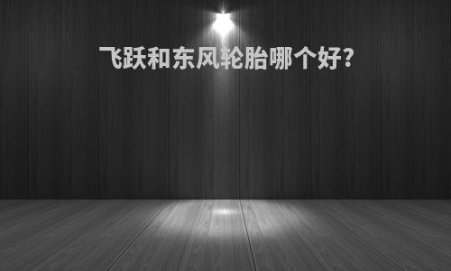 飞跃和东风轮胎哪个好?