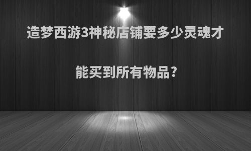 造梦西游3神秘店铺要多少灵魂才能买到所有物品?