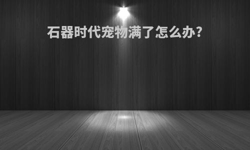 石器时代宠物满了怎么办?