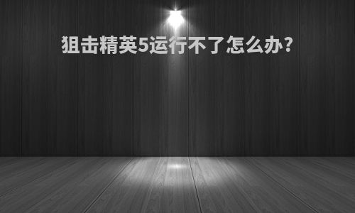 狙击精英5运行不了怎么办?