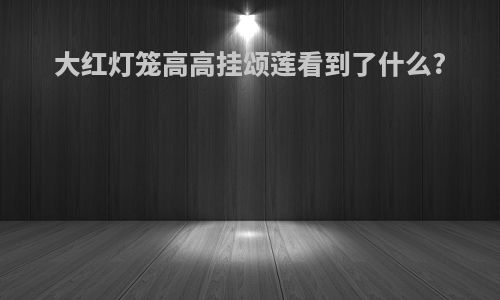 大红灯笼高高挂颂莲看到了什么?