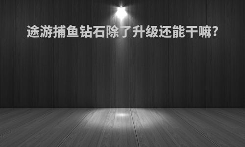 途游捕鱼钻石除了升级还能干嘛?