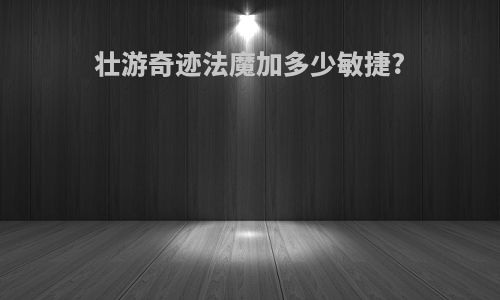 壮游奇迹法魔加多少敏捷?