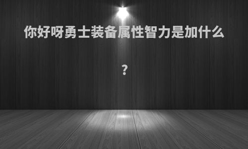 你好呀勇士装备属性智力是加什么?