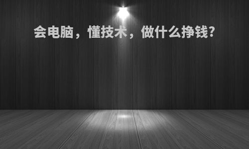 会电脑，懂技术，做什么挣钱?