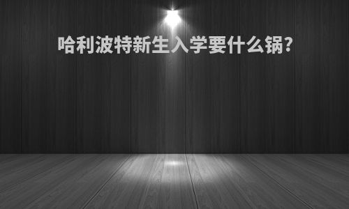 哈利波特新生入学要什么锅?