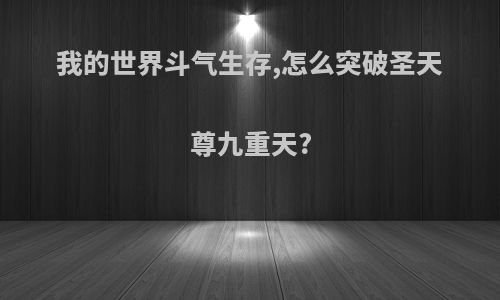 我的世界斗气生存,怎么突破圣天尊九重天?