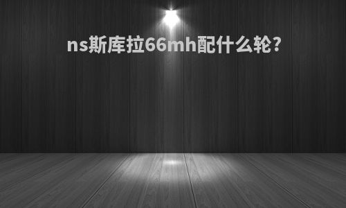 ns斯库拉66mh配什么轮?