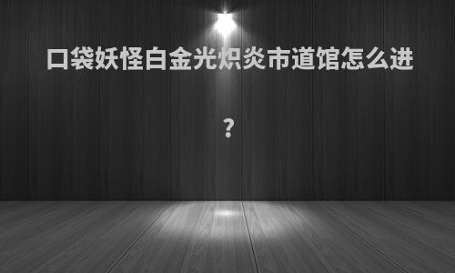 口袋妖怪白金光炽炎市道馆怎么进?