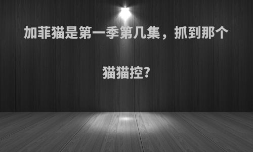 加菲猫是第一季第几集，抓到那个猫猫控?