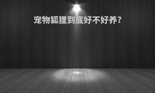 宠物狐狸到底好不好养?
