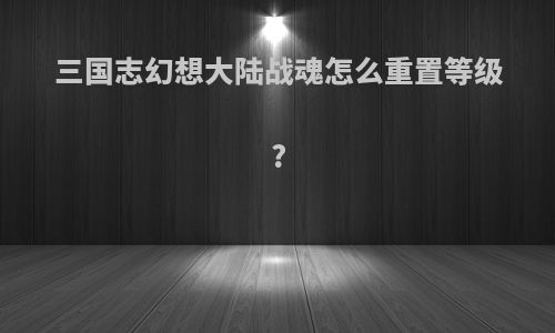 三国志幻想大陆战魂怎么重置等级?