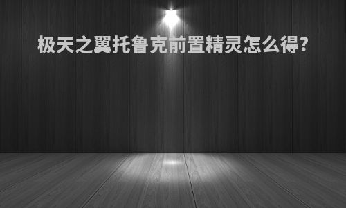 极天之翼托鲁克前置精灵怎么得?