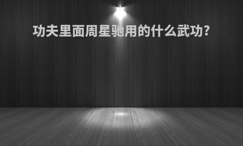 功夫里面周星驰用的什么武功?