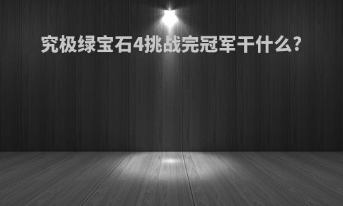 究极绿宝石4挑战完冠军干什么?