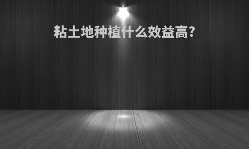 粘土地种植什么效益高?