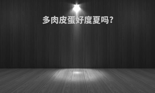 多肉皮蛋好度夏吗?