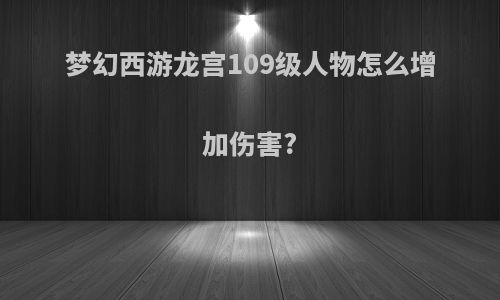 梦幻西游龙宫109级人物怎么增加伤害?