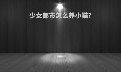 少女都市怎么养小猫?