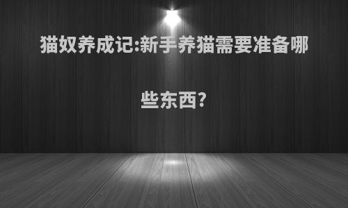 猫奴养成记:新手养猫需要准备哪些东西?