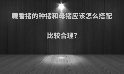 藏香猪的种猪和母猪应该怎么搭配比较合理?