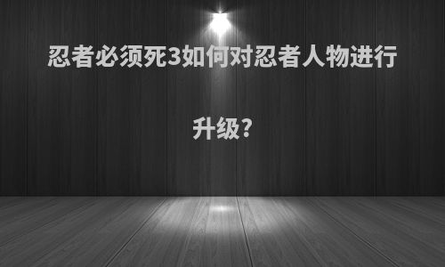 忍者必须死3如何对忍者人物进行升级?