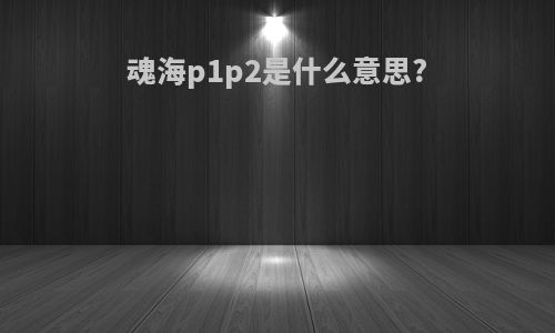 魂海p1p2是什么意思?