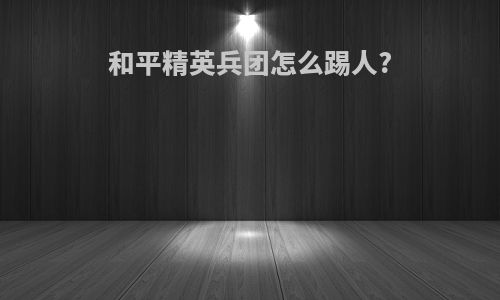 和平精英兵团怎么踢人?