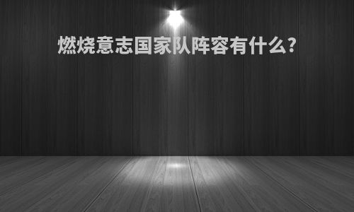 燃烧意志国家队阵容有什么?