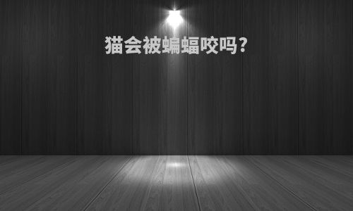 猫会被蝙蝠咬吗?
